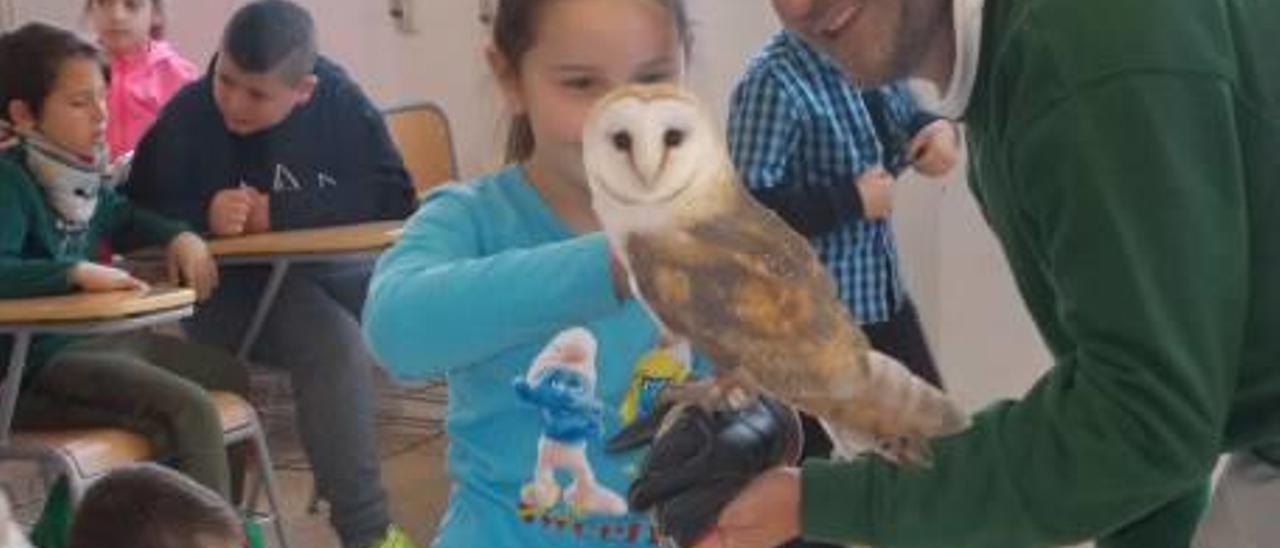 Fascinados con las aves rapaces en Monóvar