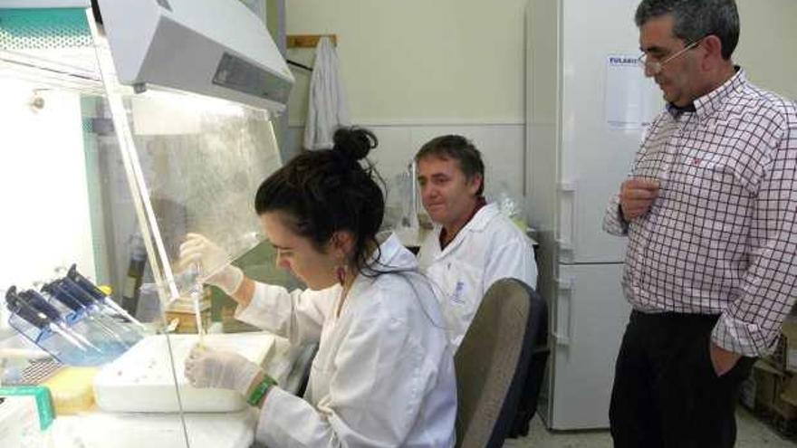 Imagen de uno de los laboratorios del Centro de Investigación del CSIC La Mayora.