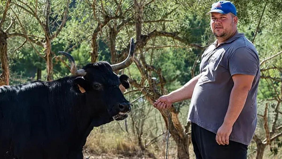El joven ganadero de Geldo, Luis López, con una de sus reses.