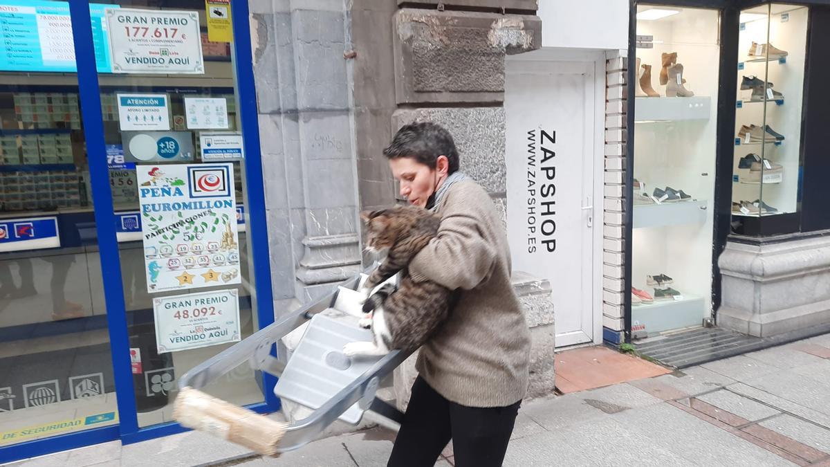 El gato atrapado en la calle Corrida de Gijón, tras ser rescatado