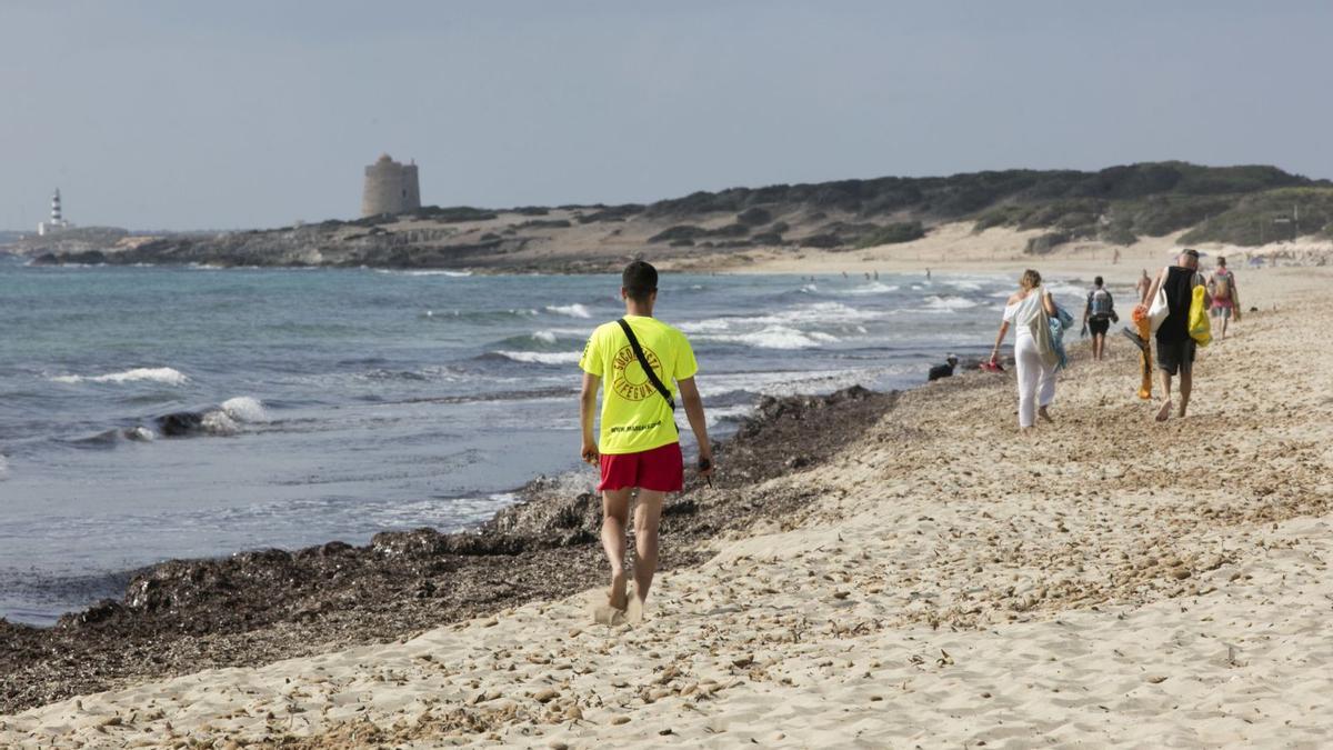 Un socorrista hace su ronda de vigilancia en la playa de es Cavallet.