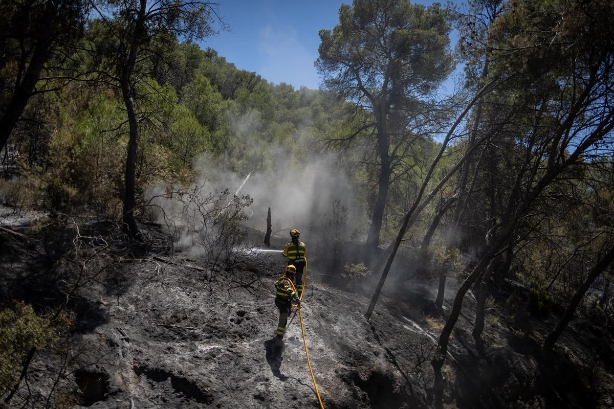 En imágenes | El operativo de INFOAR sigue este jueves con las labores de extinción en el incendio de Leciñena