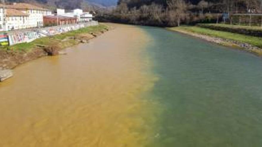 El Sella, bicolor en la capital parraguesa