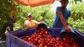 Catalunya salva su verano más cálido sin lamentar ningún muerto en el trabajo