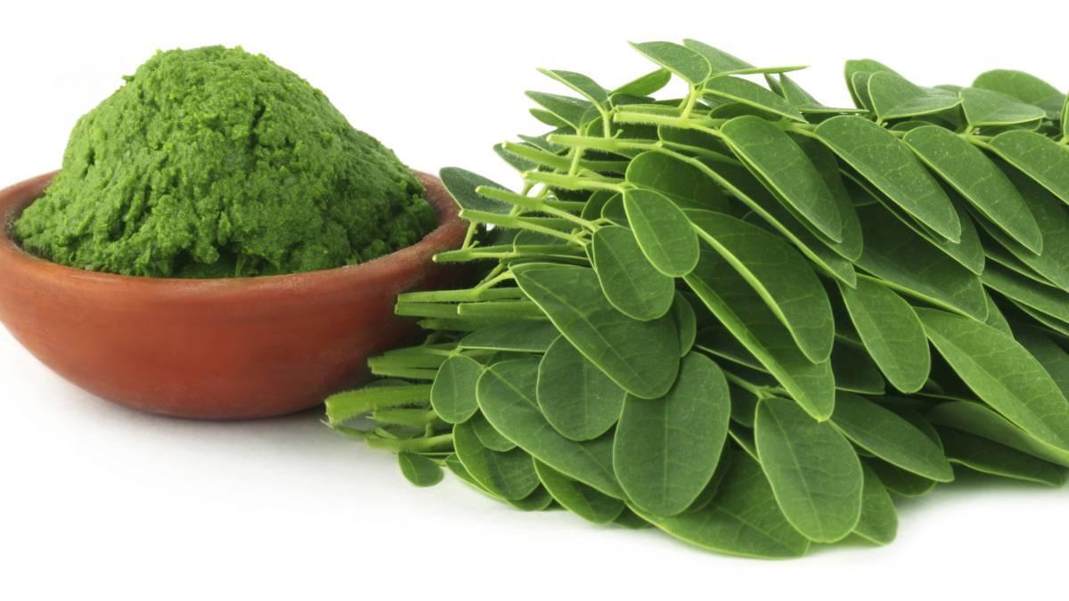 La moringa es un árbol en el que todas sus partes son aprovechables de una forma u otra.