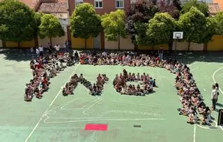 Zamora "se paraliza" para pedir que el tren vuelva a parar en Sanabria