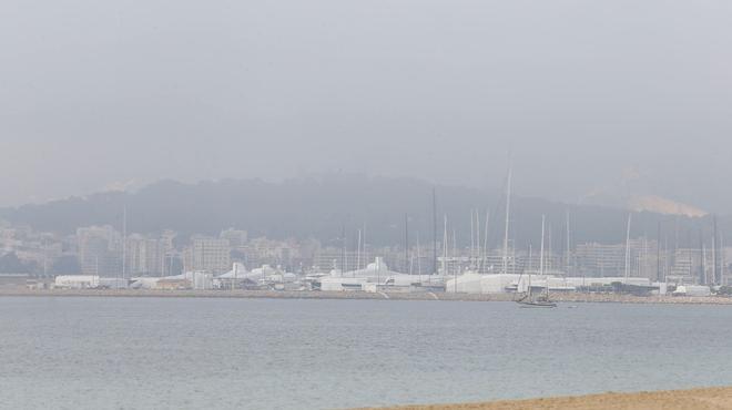 La niebla cubre Palma