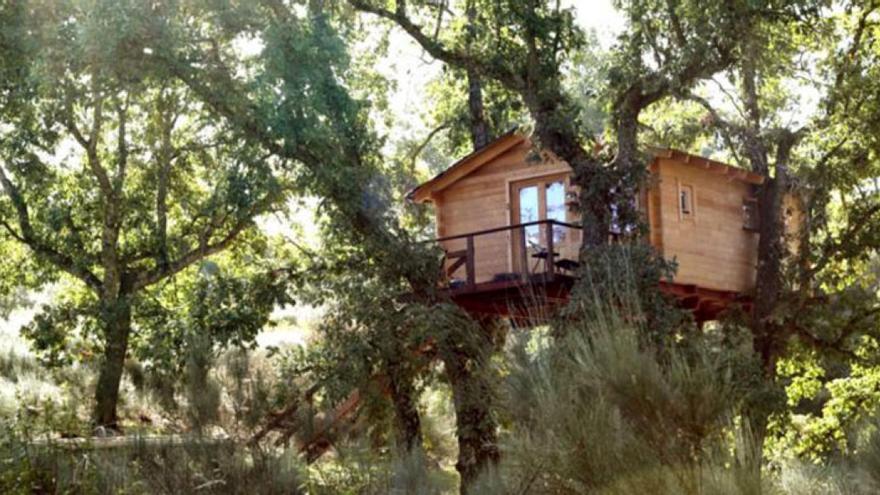 Estas son las mejores cabañas en los árboles de Extremadura que visitar este verano