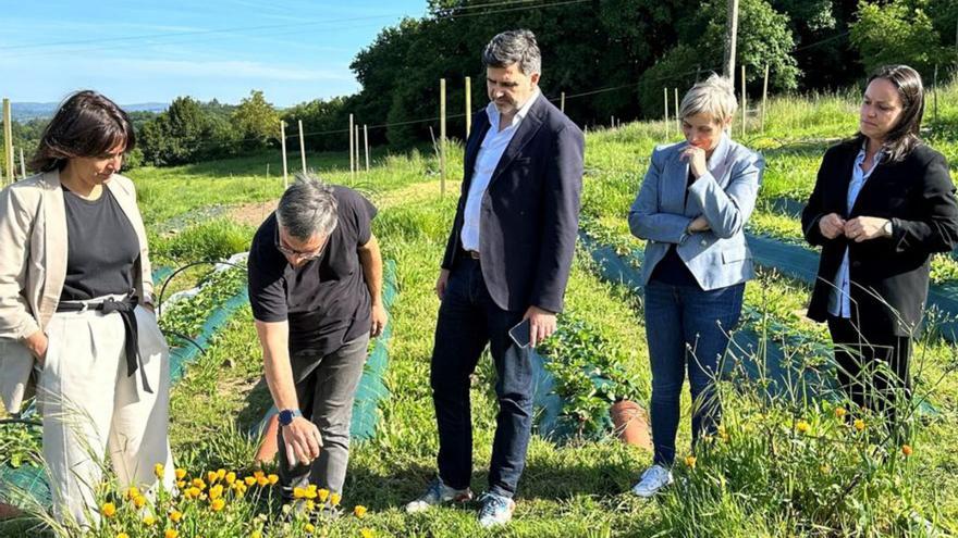 Casares destaca o “servizo ambiental” que supón o agro