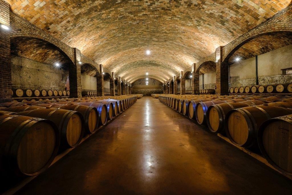 Bodega Castell del Remei