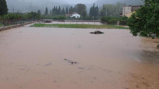 Rescatan a seis personas al inundarse sus casas en Sóller, Biniali y Santa Maria