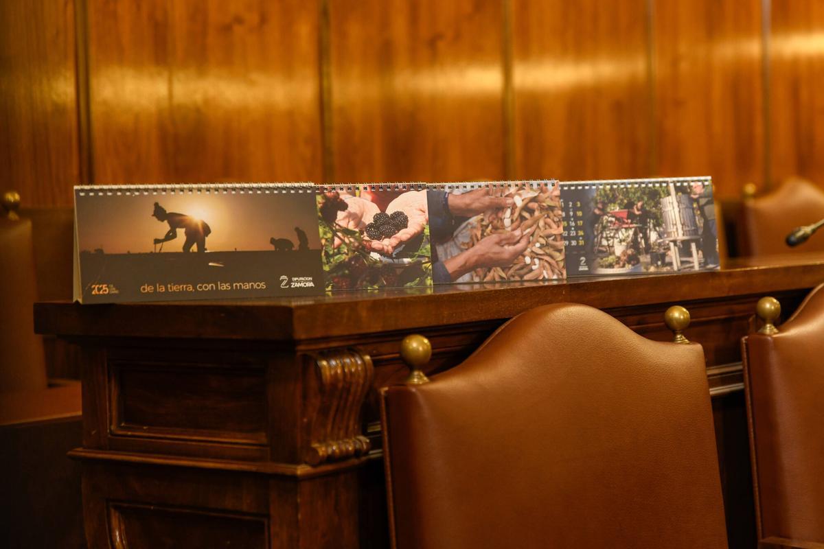 Zamora. PRESENTACIÓN CALENDARIOS 2025 Diputacion