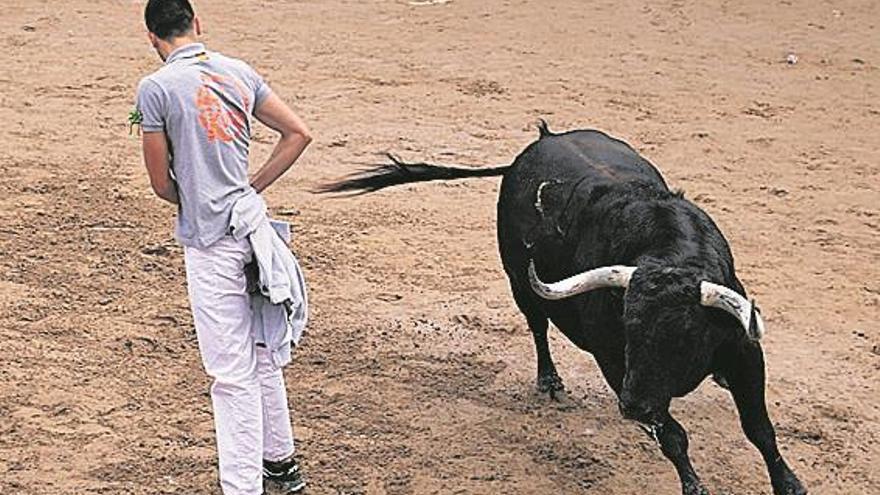 Almassora despide su semana grande con protagonismo de peñas y ‘bous’