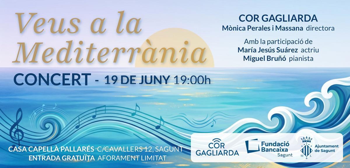 Cartel del concierto.