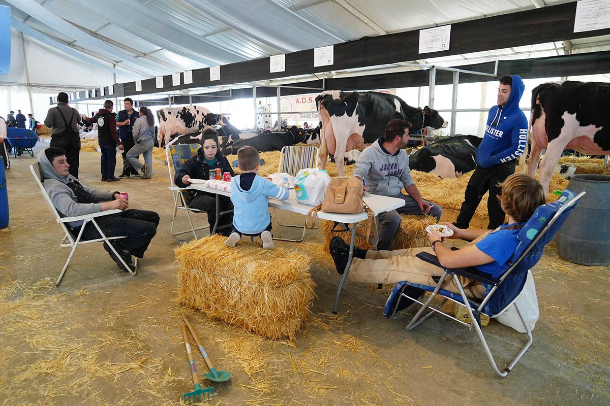 Abre la feria de vacuno de leche Usías Holsteins de  Dos Torres