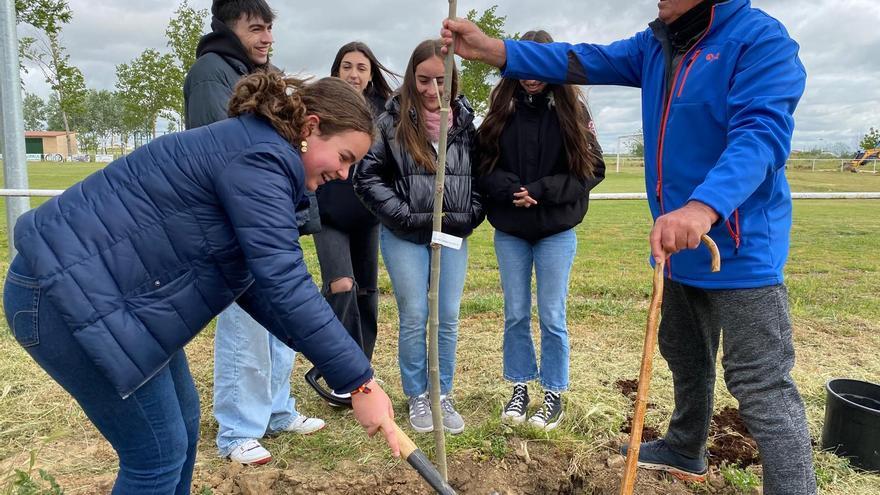 GALERÍA | Villalpando se vuelca con la campaña &quot;Un árbol por Europa&quot;