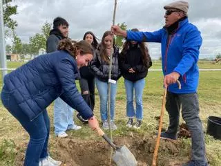 GALERÍA | Villalpando se vuelca con la campaña "Un árbol por Europa"