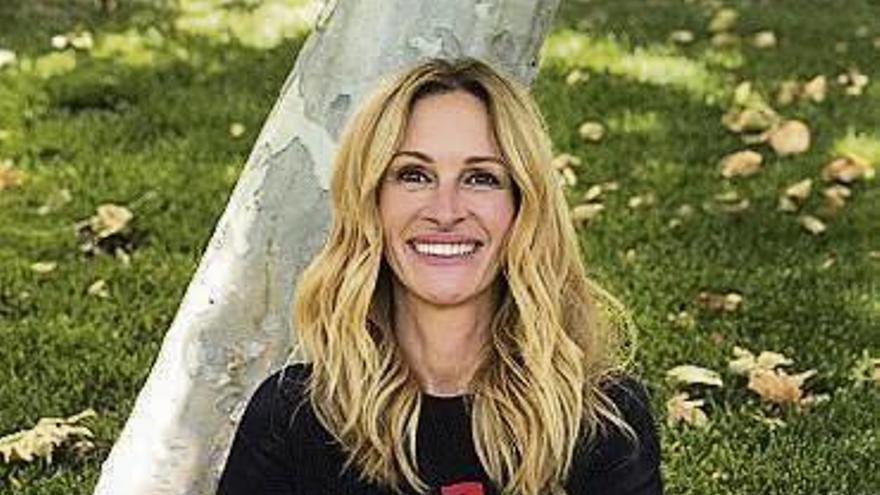 Imagen &#039;colgada&#039; de Julia Roberts.