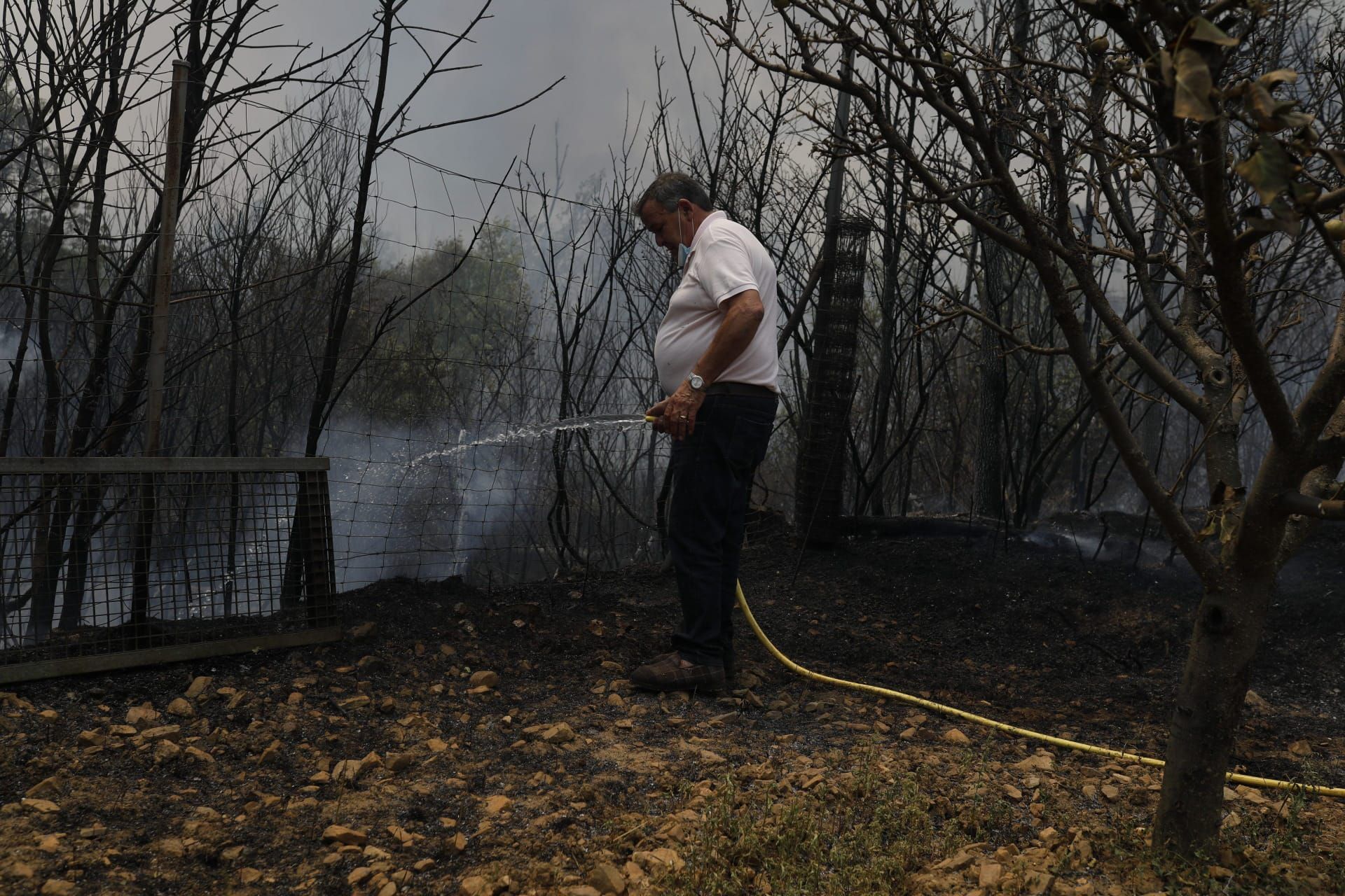 GALERÍA | El feroz incendio de Losacio, en imágenes
