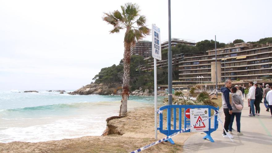 Vídeo: El temporal de mar arranca cinc palmeres a Sant Antoni de Calonge i obliga a tallar l'accés a peu a un tram de passeig