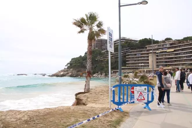 Vídeo: El temporal de mar arranca cinc palmeres a Sant Antoni de Calonge i obliga a tallar l'accés a peu a un tram de passeig