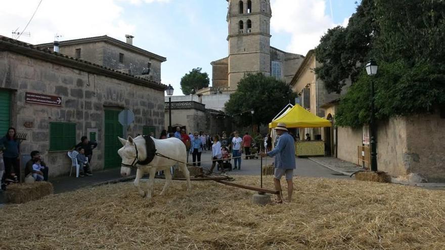 Los oficios tradicionales estuvieron presentes.