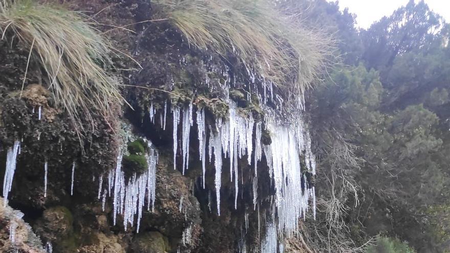 El agua congelada en El Pantanet de Petrer en una imagen de esta mañana.