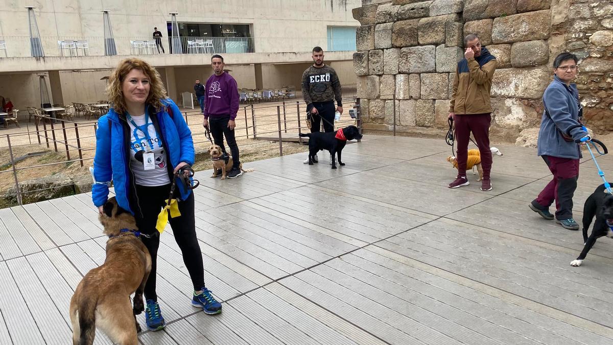 Perros participantes en una de las rutas, en el Templo de Diana.