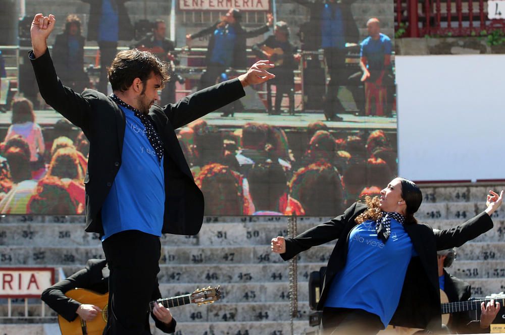 La plaza de toros de Málaga volvió a acoger este encuentro para luchar contra el Síndrome de Rett