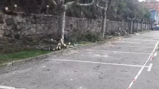 Comienza la reforma del paseo de la Grúa, en Ribadesella, que costará 47.770 euros