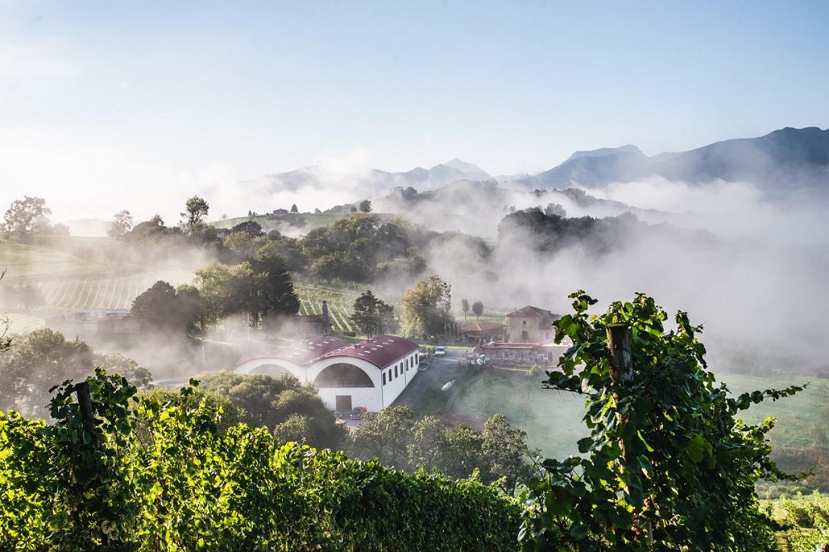 La bodega Palacio de Nevares, bajo la niebla.