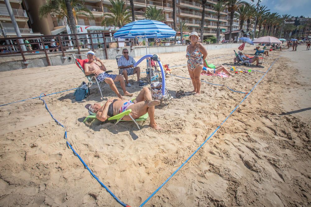 Primer día de baño autorizado en las playas de Torrevieja con arena parcelada y controles de acceso