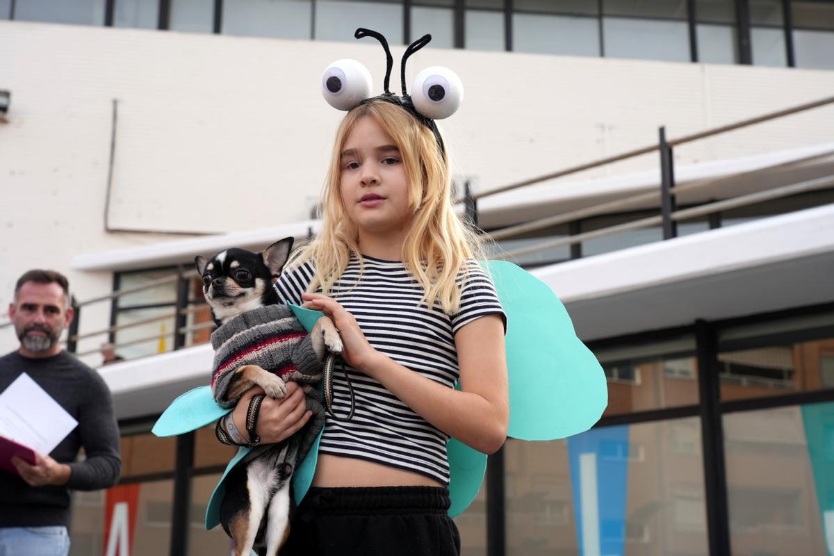 Mascotas disfrazadas en el Carnaval del Grau de Castelló. ¿Has participado? Búscate en esta divertida iniciativa