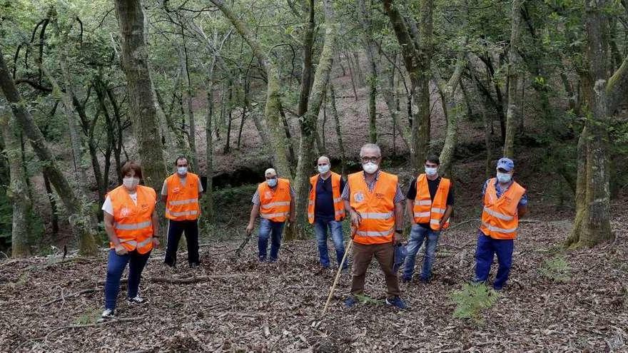 Parte de la brigada de comuneros que controlará los castaños adultos en el &quot;souto&quot; de 5 hectáreas de A de Puga. // Jose Lores