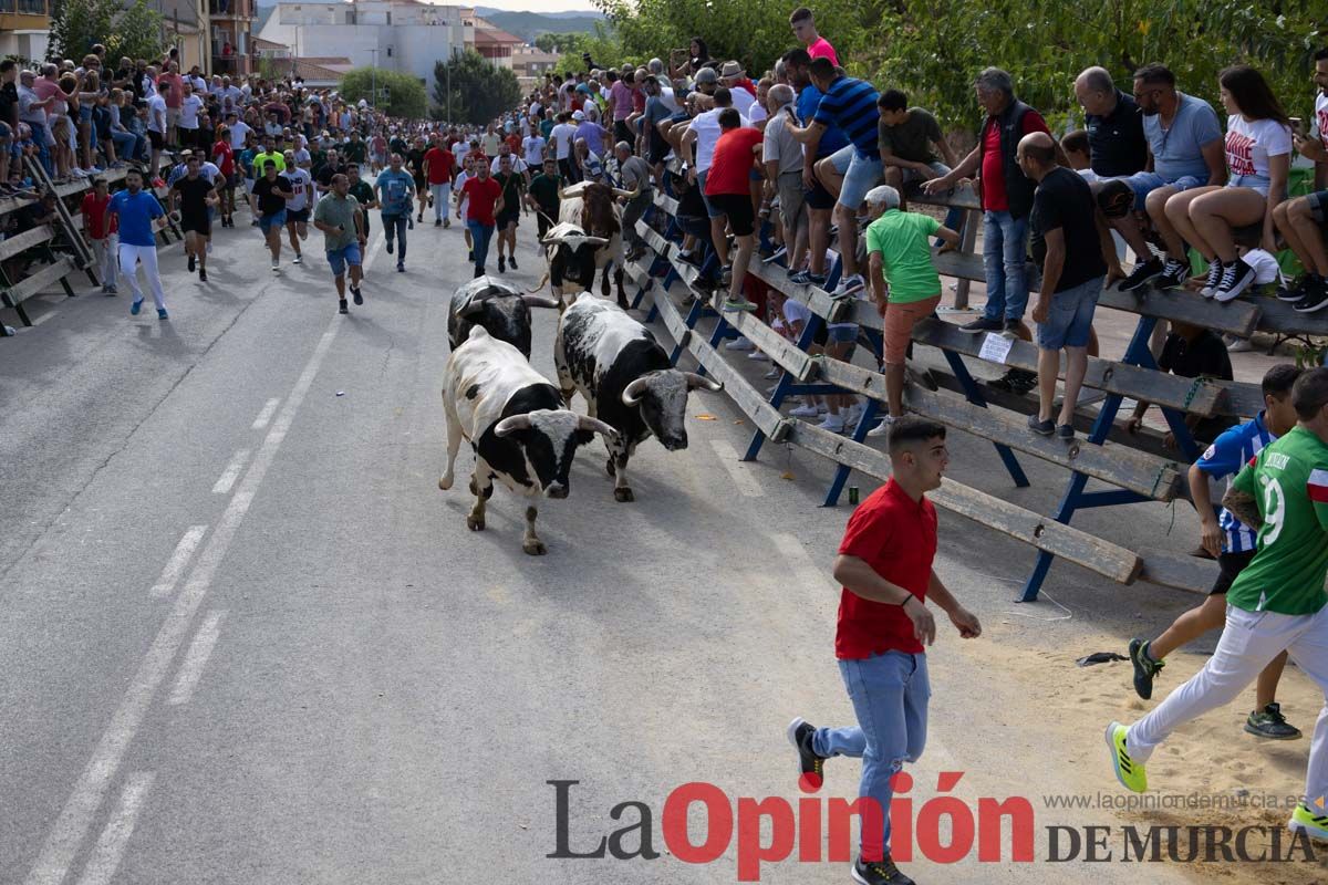 Primer encierro de la Feria del Arroz de Calasparra