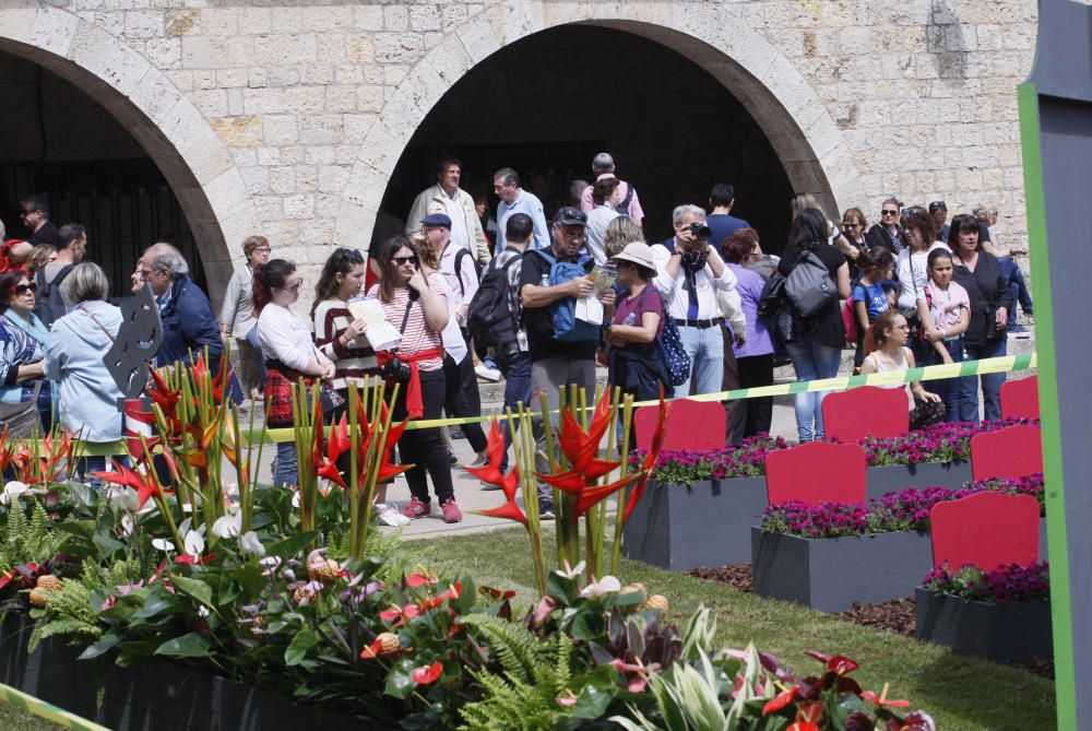 Girona, Temps de Flors - Dissabte 12 de maig