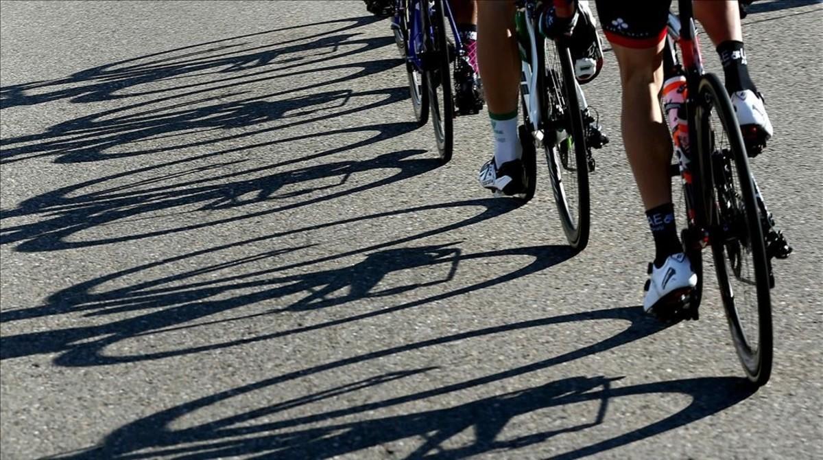 Ciclistas en carretera.