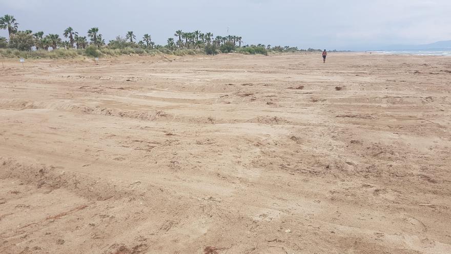 Els Agents Rurals denuncien per segon cop un càmping de Sant Pere Pescador per fer destrosses a les dunes