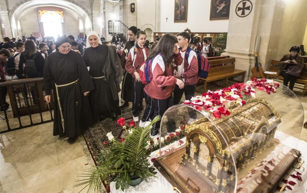 Las reliquias de Santa Teresa del Niño Jesús ya están en el monasterio de Santa Faz.