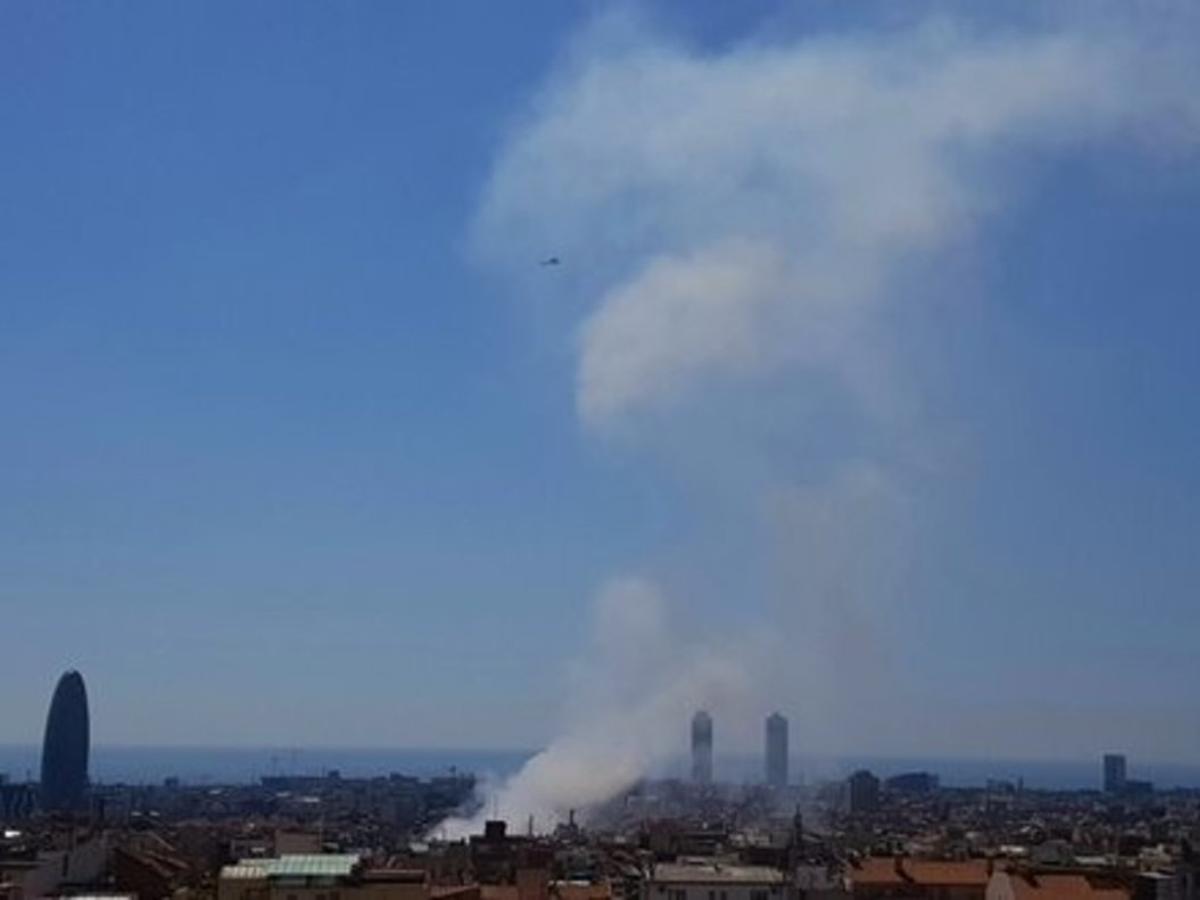 humo humo