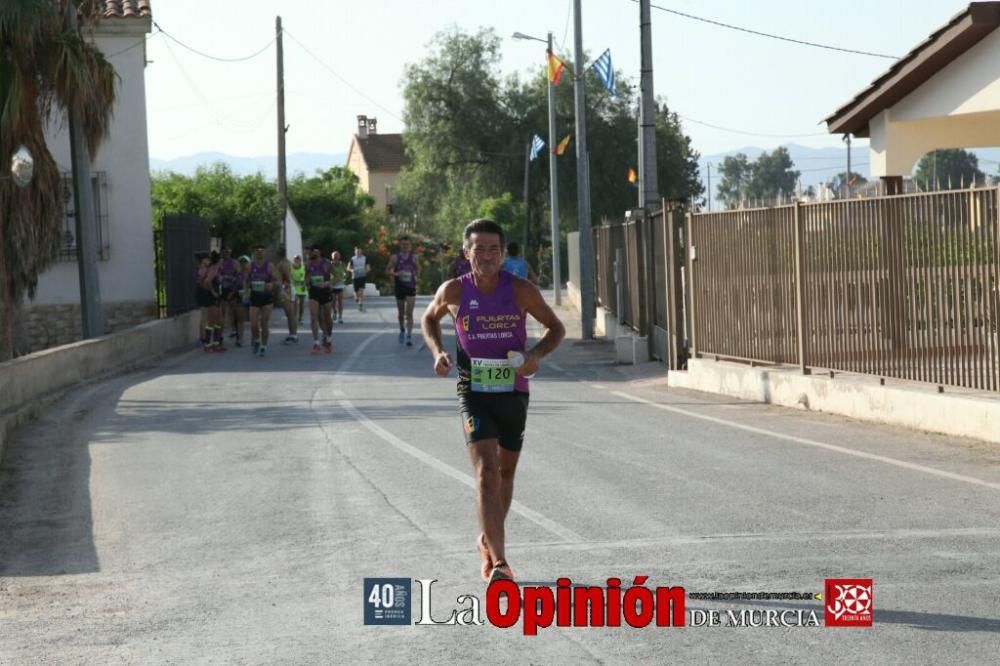 XV Carrera Popular Fiestas del Campillo