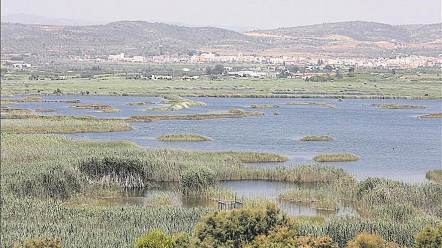 Una nova iniciativa subratlla el gran valor natural del Prat