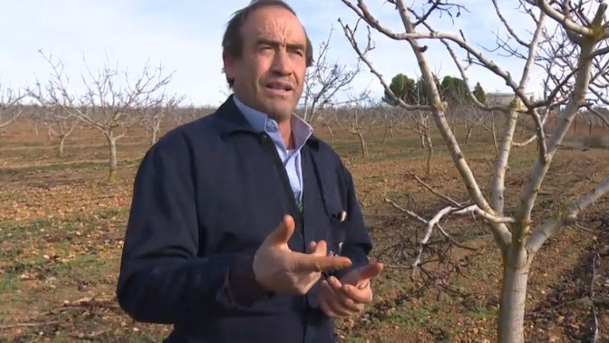 Juan José Chacón, agricultor especialista en pistacho:  Entre 2010 y 2016 hemos triplicado el capital 