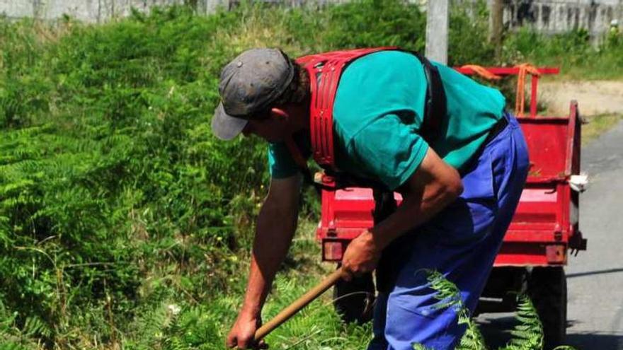 Trabajos de limpieza en una finca de O Salnés. // Iñaki Abella