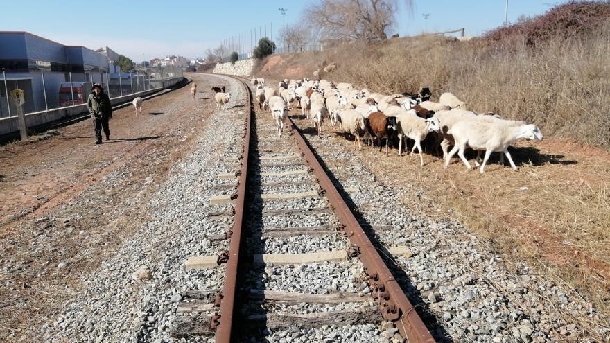 Paisatge des dels rails. Una via de sal, aigua i vi