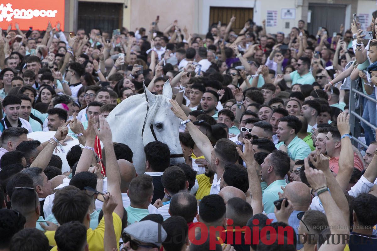 Fiestas de Caravaca | Entrega de premios del concurso morfológico