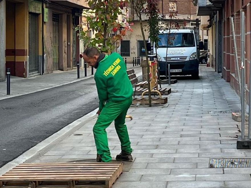 Trabajos de plantación de árboles en la ciudad.