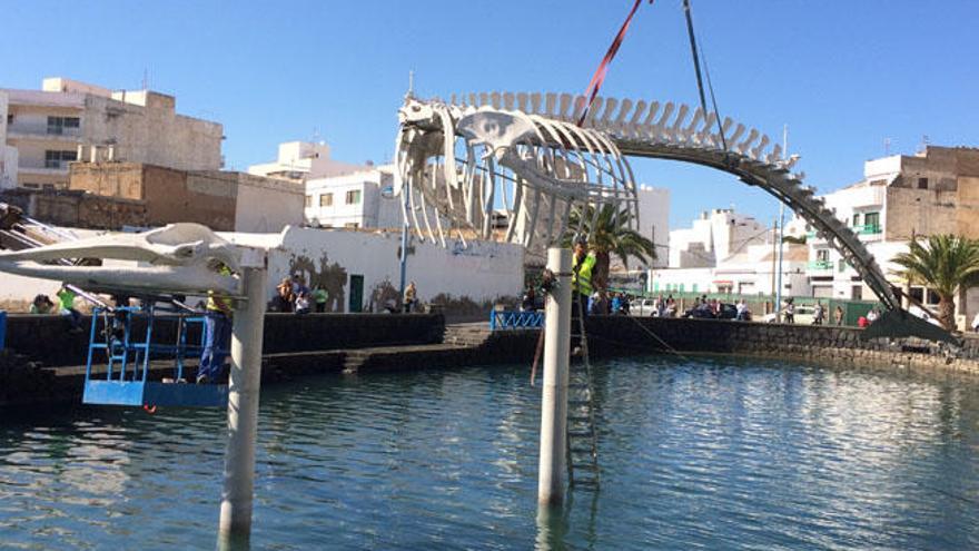 Instalación ayer del esqueleto de ballena en el Charco de San Ginés.