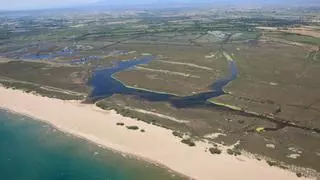 Mor al Trueta la nena de 9 anys que gairebé es va ofegar en una platja de Castelló