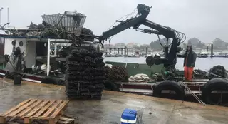 El mejillón cultivado en Galicia genera más de 516 millones de euros en el último lustro